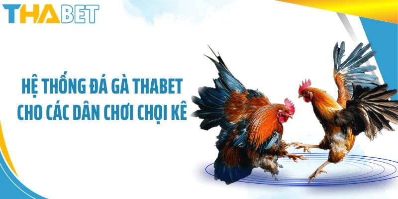 đá gà thabet rg8369