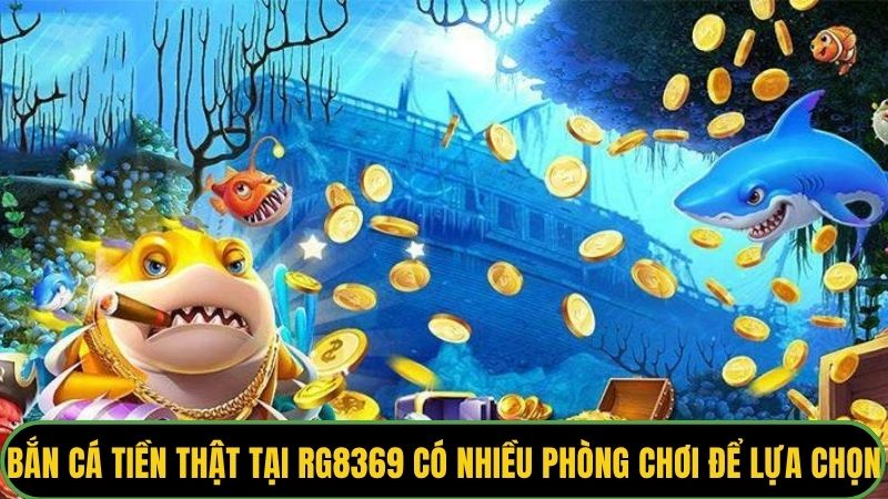 Bắn cá tiền thật tại RG8369 có nhiều phòng chơi để lựa chọn