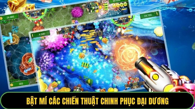 Bật mí các chiến thuật chinh phục đại dương