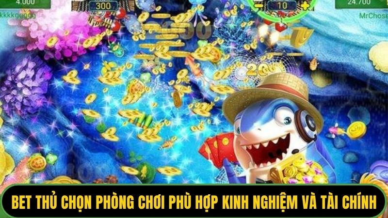 Bet thủ chọn phòng chơi phù hợp kinh nghiệm và tài chính