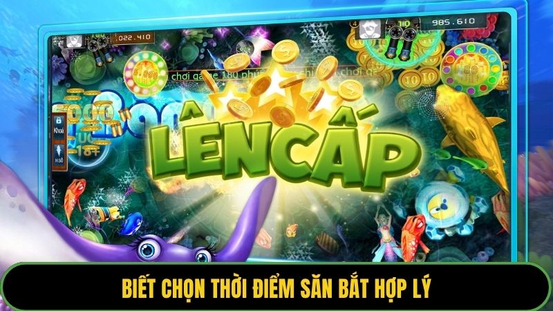 Biết chọn thời điểm săn bắt hợp lý