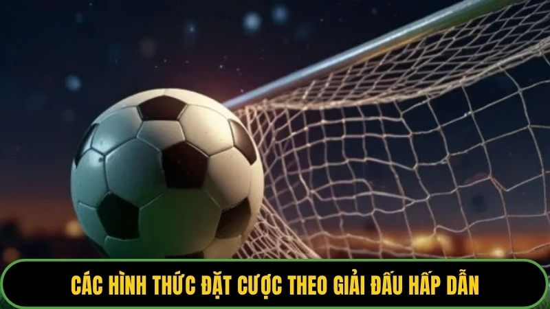 Các hình thức đặt cược theo giải đấu hấp dẫn