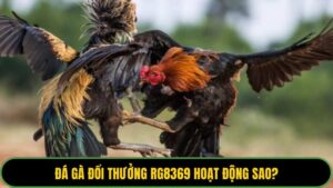 Đá gà đổi thưởng RG8369