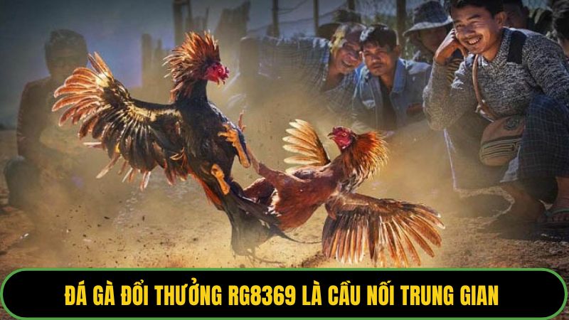 Đá gà đổi thưởng RG8369 là cầu nối trung gian 