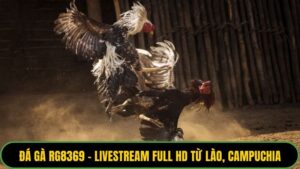 Đá Gà RG8369
