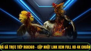 Đá Gà Trực Tiếp RG8369