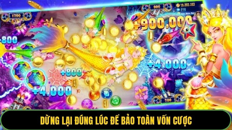 Dừng lại đúng lúc để bảo toàn vốn cược