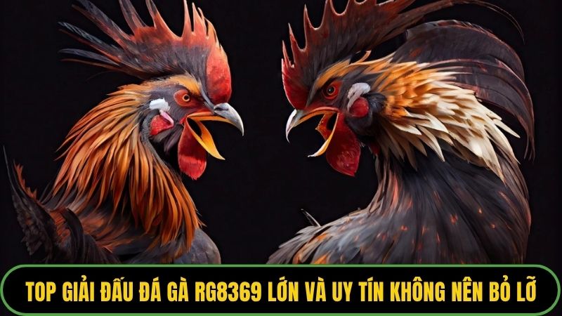 Giải Đấu Đá Gà RG8369