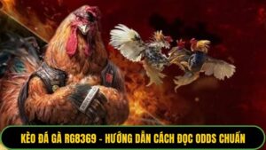 Kèo đá gà RG8369