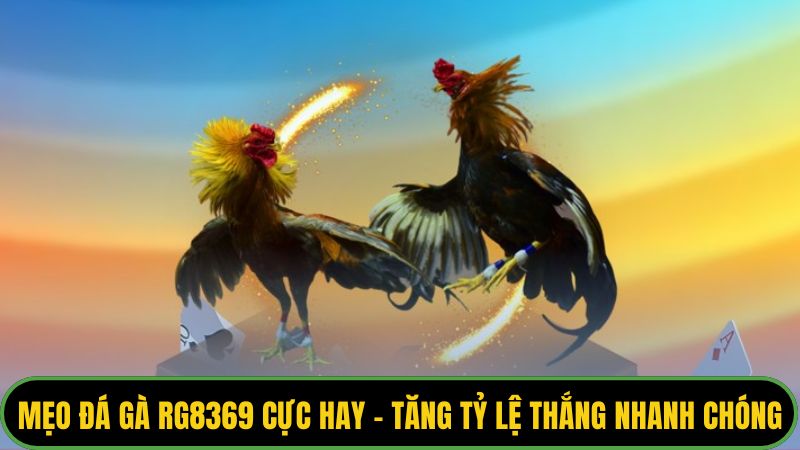 Mẹo Đá Gà RG8369