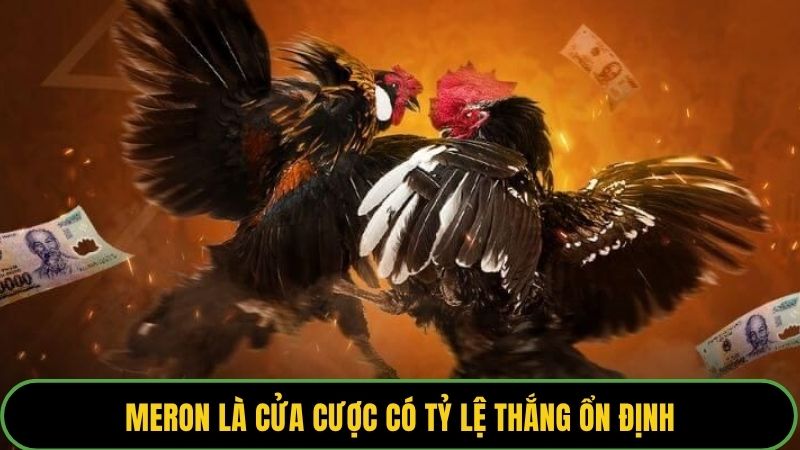 Meron là cửa cược có tỷ lệ thắng ổn định