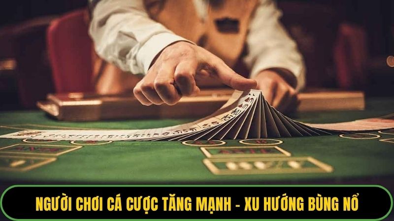Người Chơi Cá Cược Tăng Mạnh