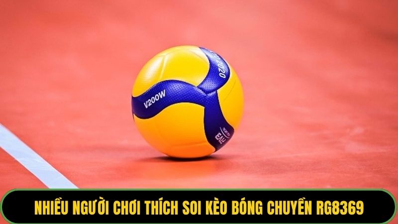 Nhiều người chơi thích soi kèo bóng chuyền RG8369