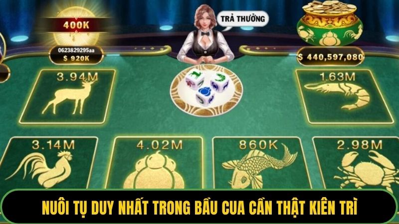 Nuôi tụ duy nhất trong bầu cua cần thật kiên trì
