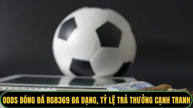 Odds bóng đá RG8369 đa dạng, tỷ lệ trả thưởng cạnh tranh