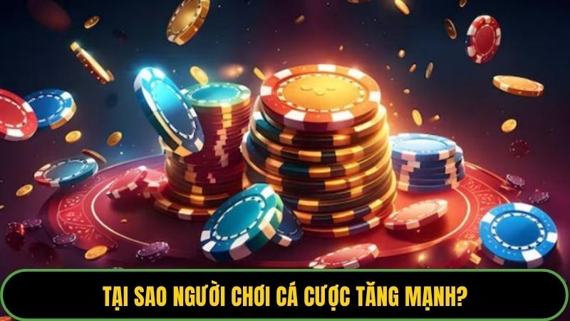 Tại sao người chơi cá cược tăng mạnh?