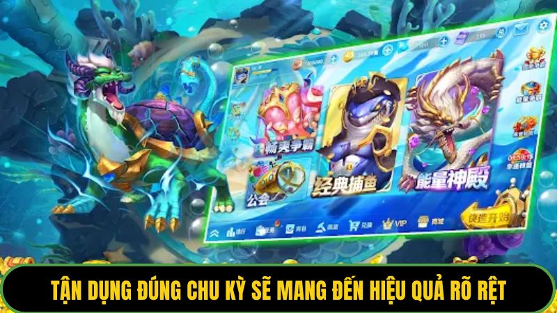 Tận dụng đúng chu kỳ sẽ mang đến hiệu quả rõ rệt