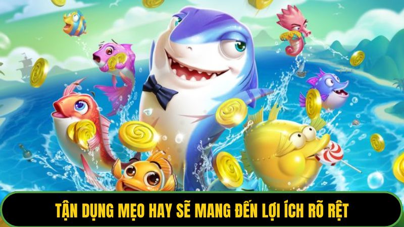 Tận dụng mẹo hay sẽ mang đến lợi ích rõ rệt